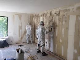 Best Basement Mold Removal in Laurel, VA